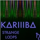 K∆RIIIB∆ - Strange Loops